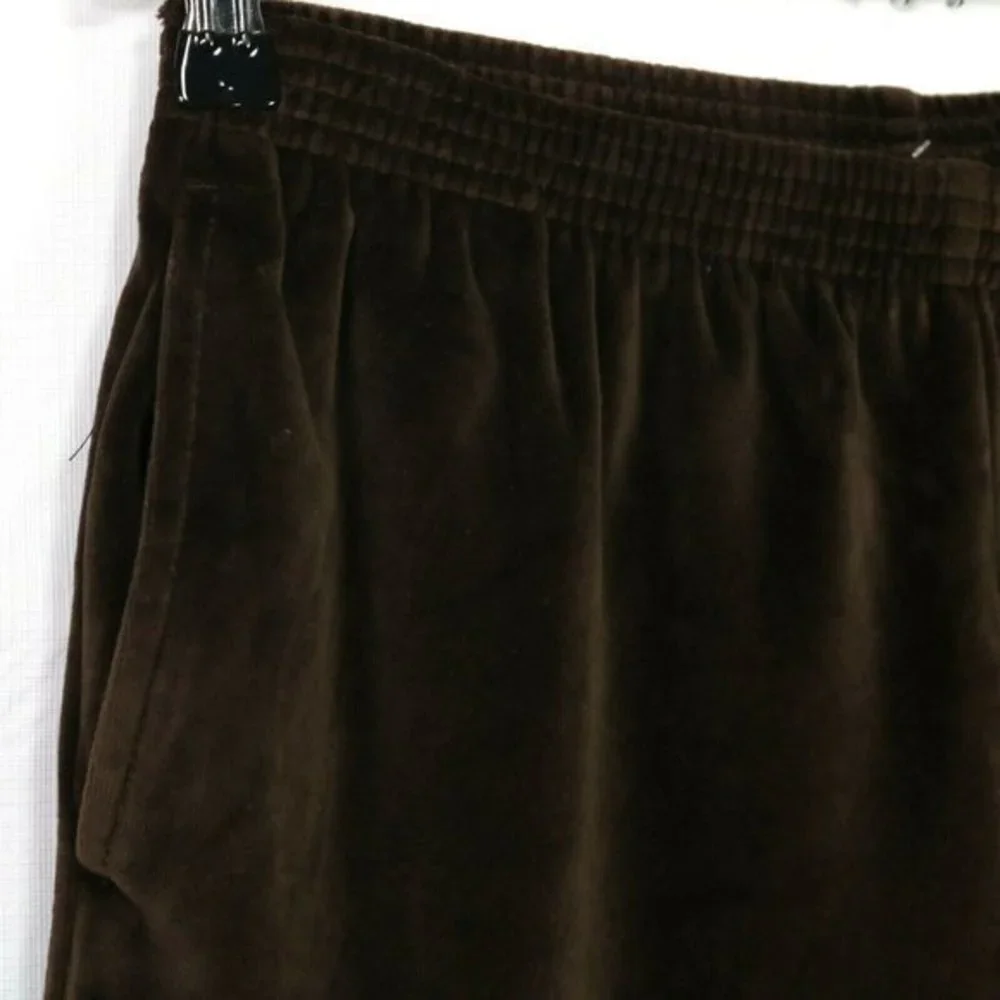 Alfred Dunner Velour Pants Brown Stretch Elastic Waist Petite 10 X 27‎ 10P